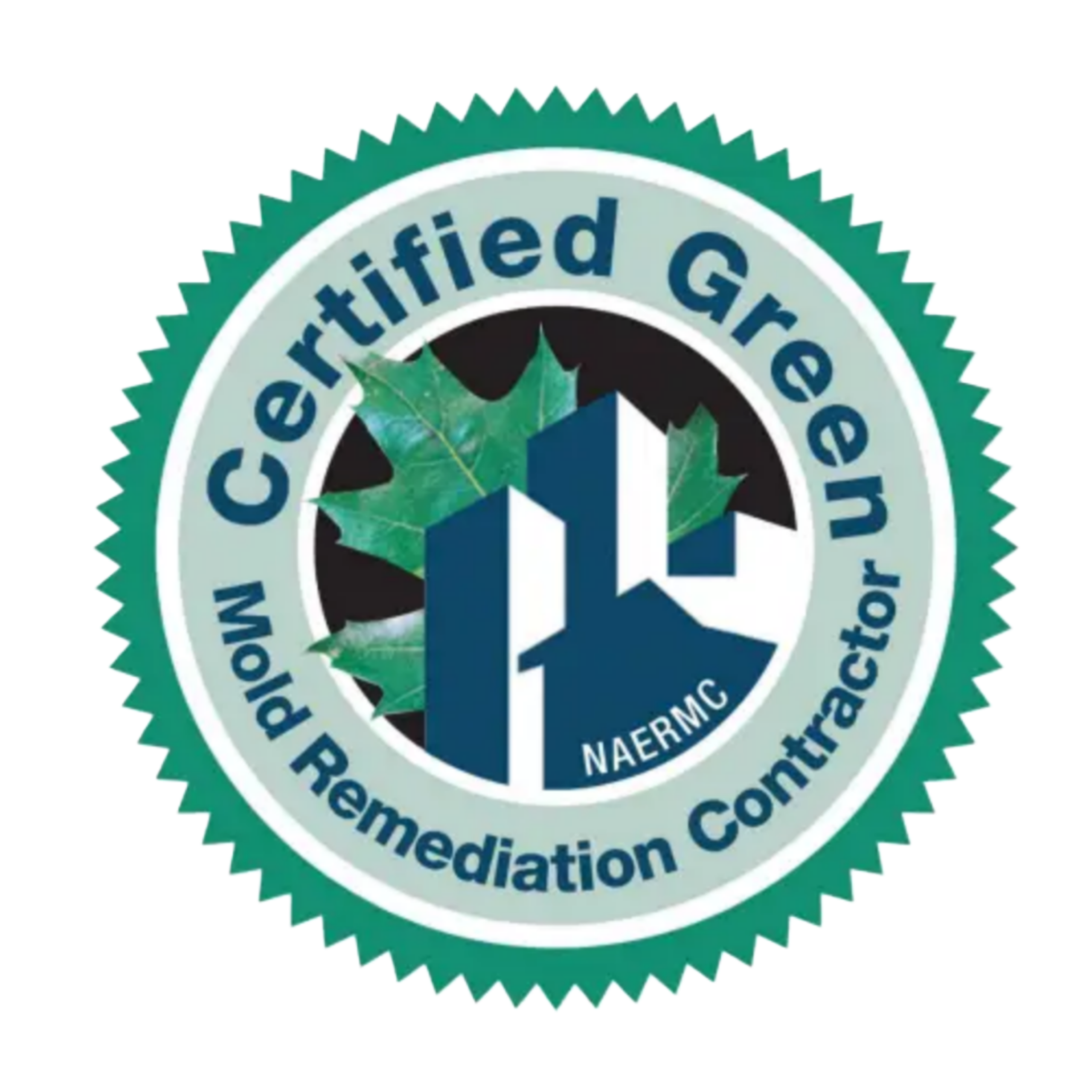 Certified Green Mold Remediation